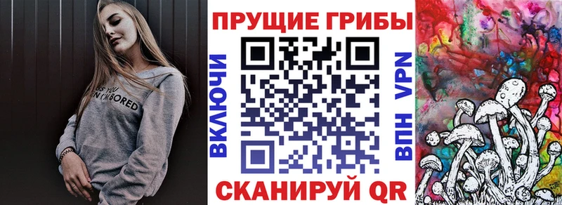 гидра вход наркошоп Грязи Псилоцибиновые грибы мухоморы
